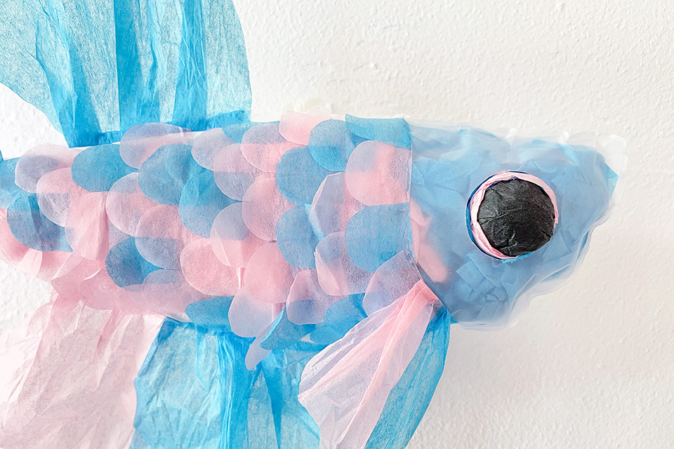 さかな紙ぐるみ